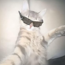 confettighosts avatar