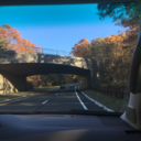 confidence-with-words avatar