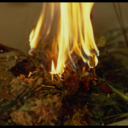 confoundednuisance avatar