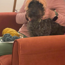 confused-bisexual avatar