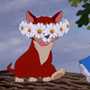 confused-hedgehog avatar