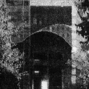 confused-organism avatar