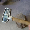 confused-tapeworm-colony avatar