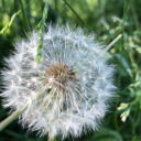 confusedandpurplesoul avatar