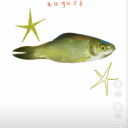 confusedbrowncow avatar