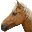 confusedketchup avatar