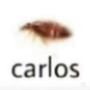 confusedmothboy avatar