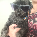 confusedpunkprincess avatar