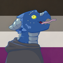 confusedsealover avatar