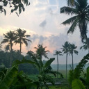 confusesmemories avatar