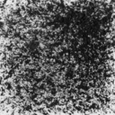 confusingaesthetic avatar