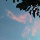 confusingandbeautiful avatar