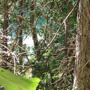 confusionchaos avatar