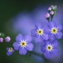 confusionisthestoryofmylife avatar