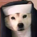 conglomerance avatar