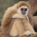 conjuringghosts avatar