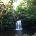 conn0rchapman avatar