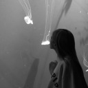 connect-the-dotss avatar