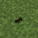 connor6lesbian avatar