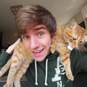 connorfranta-cats avatar