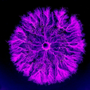 connorns-blog avatar