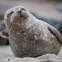 consecr8-blog avatar