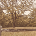 consequenceofaudience avatar