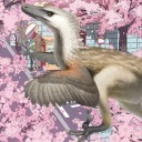 consideratevelociraptor avatar