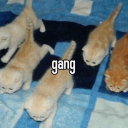 consistentlyinconsistent12 avatar