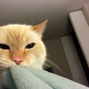 consistentlyinlove avatar