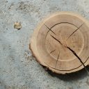 constance-ophelia avatar