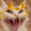 constancy-and-variables avatar