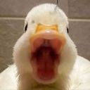 constantinemaddentheenemyofdeath avatar