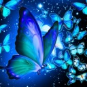 constantly-chaotic20 avatar