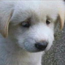 constantlyconfusedbi avatar