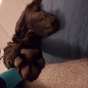 constantlyinwanderlust avatar