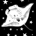 constellation-chondrichthyes avatar