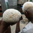 constellation-sol avatar