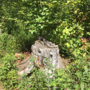 constellationcastaway avatar