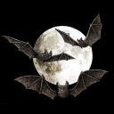 constellationlark avatar