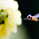 consultant-time-lord avatar