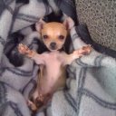 consulting-fart avatar