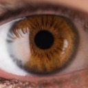 consultingamateursblog avatar