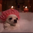 consumersatisfaction avatar