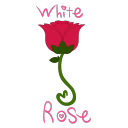 consumptionmeals avatar