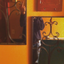 contemporaryblues avatar