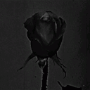 contentedheaux avatar