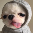 contentswarsblog avatar