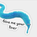 continuingcacti avatar