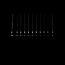 contradictiiion avatar